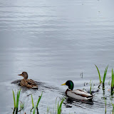  &ndash; Today on the Lake March 12 2010
