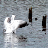  &ndash; Today on the Lake March 13 2010