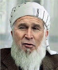 bush.jpg