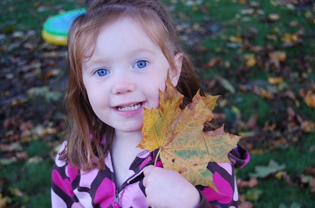 [DSC_0200[2].jpg]