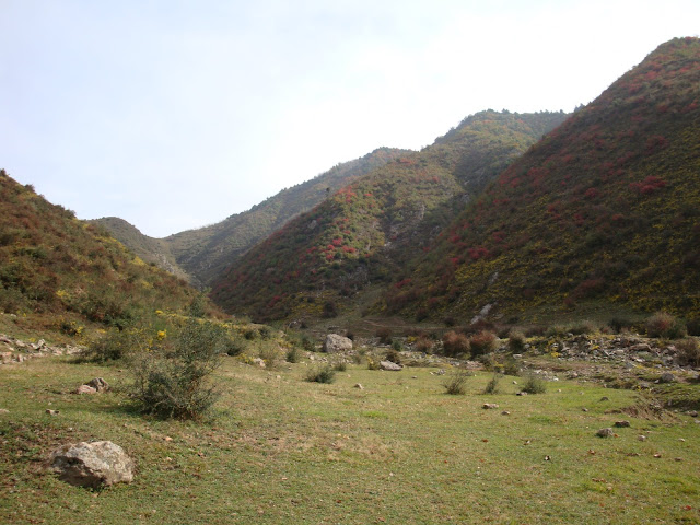 西山