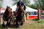 Waasmunster2010