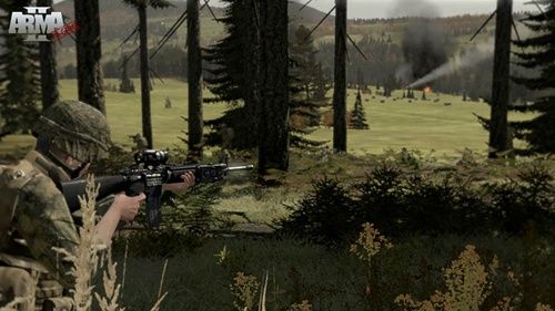 ARMA II (PC)