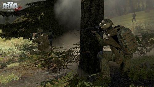 ARMA II (PC)