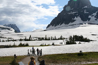 IMG_8438.JPG Photo