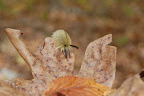 DSC_0714.JPG