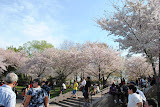 DSC_0054.JPG