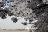 DSC_0049.JPG