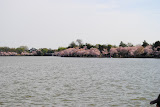 DSC_0038.JPG