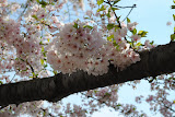 DSC_0032.JPG