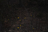 DSC_0015.JPG
