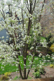 DSC_0058.JPG