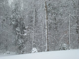So pretty.  We love snow!