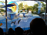 Grand finale! And that it was.