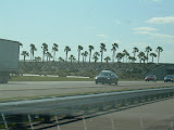 Pretty sign along the side of the highway for Daytona Beach.