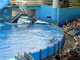 The people in the splash zone don't look very wet.