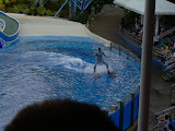 Told you there would be water skiing.