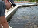 Mind you we did get to get awfully close to these turtles as you can tell from Chase.