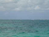 Grand Cayman 135.JPG
