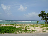 A view of the ocean from the jeep.