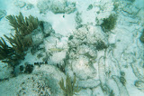 More snorkeling.