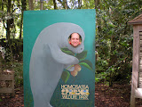 Chase the Blind Manatee