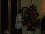 Kiro decorating the Christmas tree.