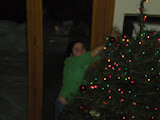 Big stretch to hang the ornaments up.