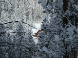 A little house down the hill.