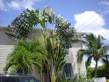 DSCN0690.JPG