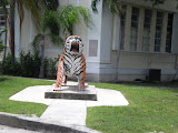 DSCN0691.JPG