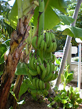 DSCN0677.JPG