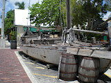DSCN0702.JPG