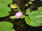 DSCN0743.JPG