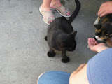 DSCN0751.JPG