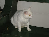 DSCN0755.JPG