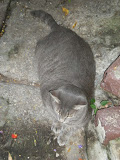 DSCN0758.JPG