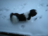DSCN0905.JPG