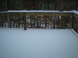 DSCN0913.JPG