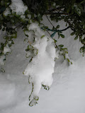DSCN0922.JPG