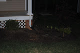DSC_0016.JPG