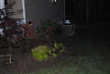 DSC_0017.JPG