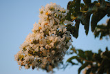 DSC_0015.JPG