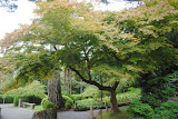 DSC_0017.JPG
