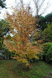 DSC_0031.JPG