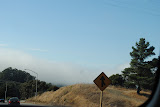 DSC_0201.JPG