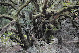 DSC_0203.JPG