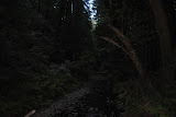 DSC_0218.JPG