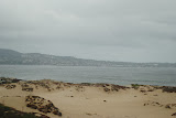 DSC_0339.JPG