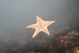 DSC_0420.JPG